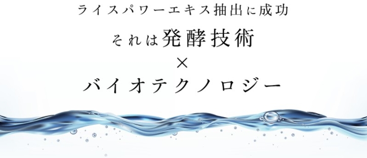 ライスビギン・オールインワンエマルジョンNo.11激安について