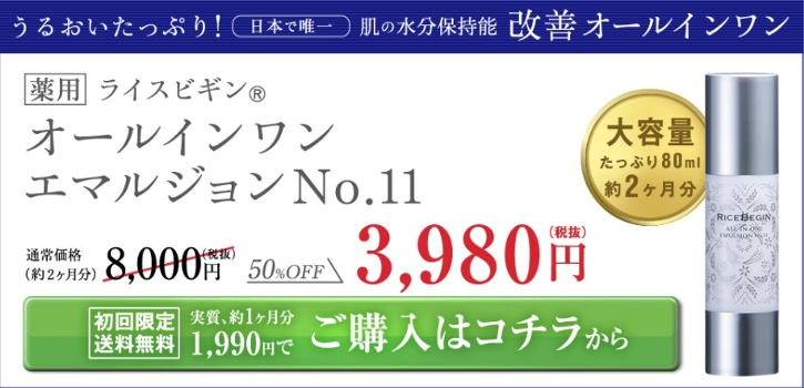 ライスビギン・オールインワンエマルジョンNo.11激安について